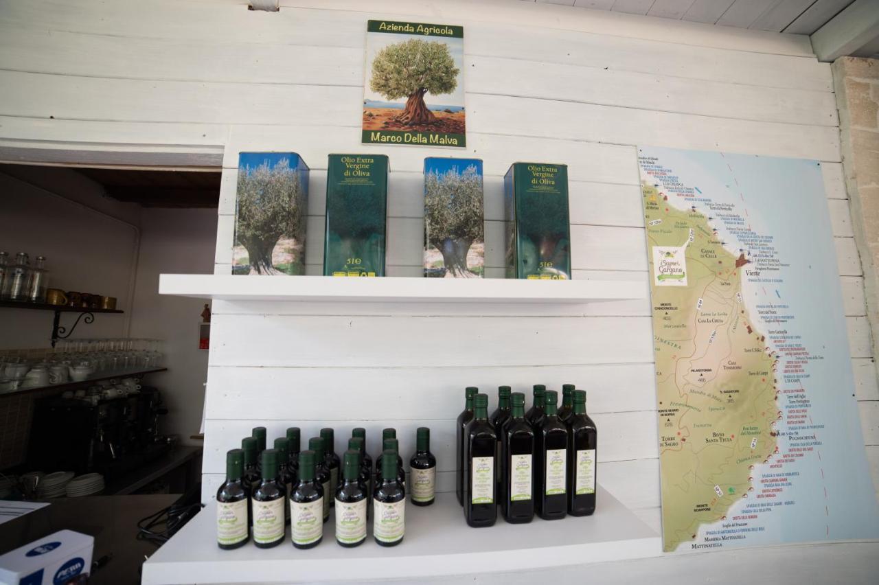 I Sapori Del Gargano Konuk evi Vieste Dış mekan fotoğraf