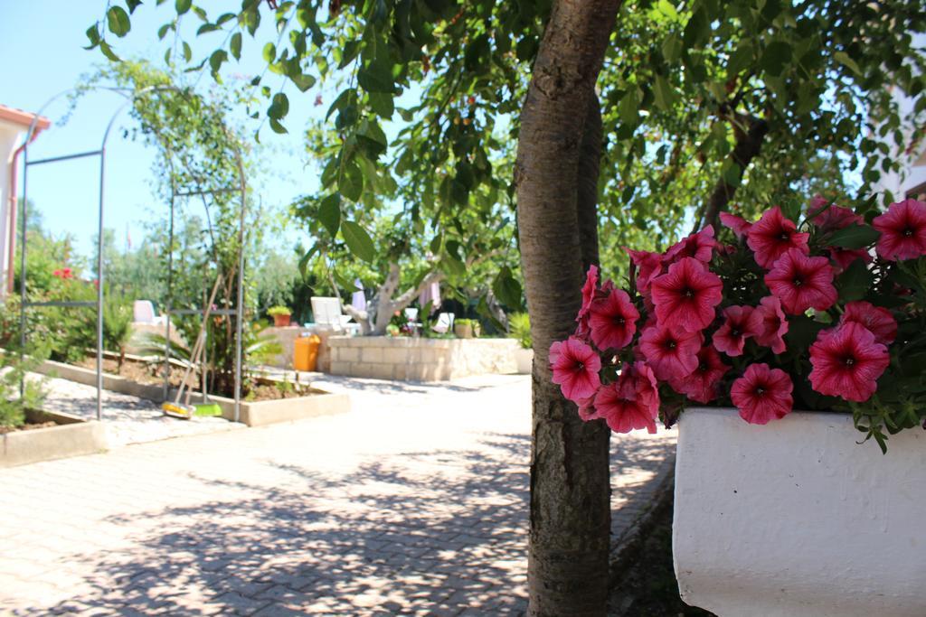 I Sapori Del Gargano Konuk evi Vieste Dış mekan fotoğraf